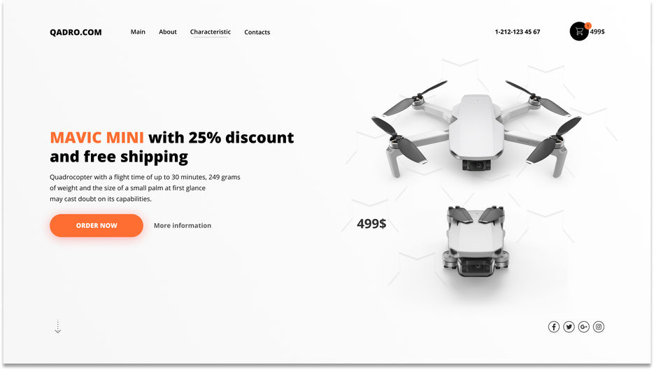 Mavic mini first page.jpg