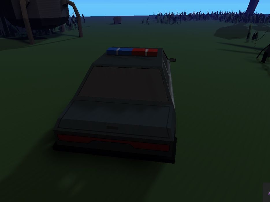 pic4.jpg