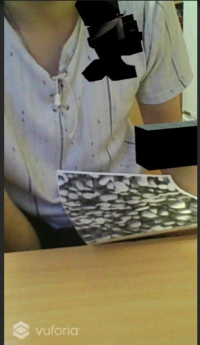 pic2.jpg