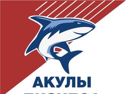 Обновление Проекта "Акулы бизнеса"