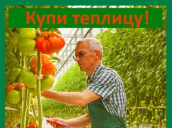 Настройка контекстной рекламы