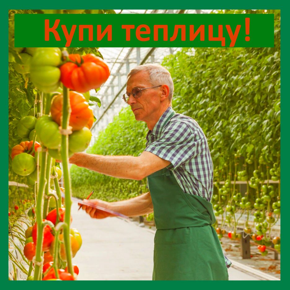 Теплица1.png