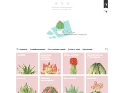Магазин суккулентов «Mr. Cactus»