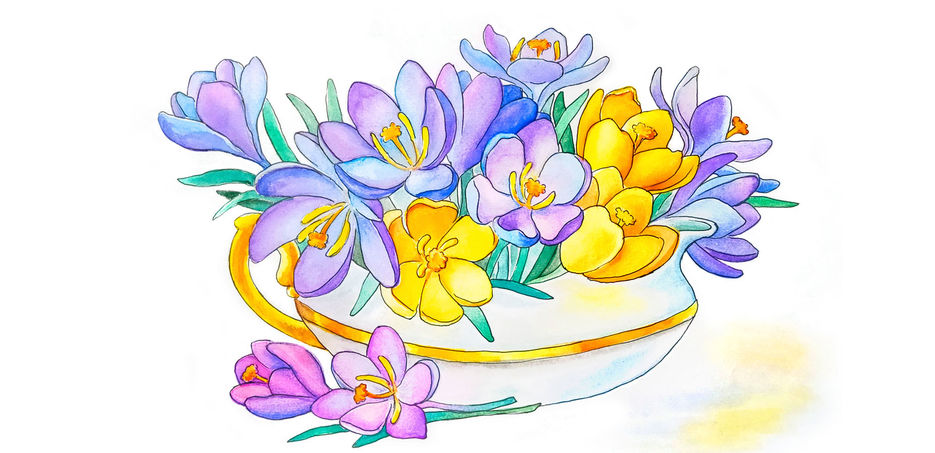 illustration5-w.jpg