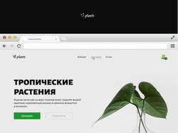 Тropical plants landing page