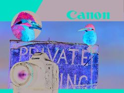 Страница каталога Canon