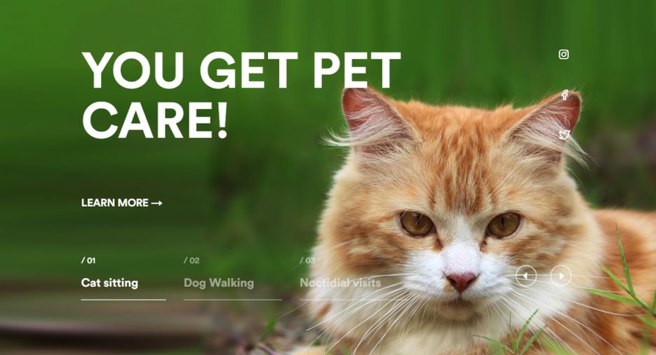 pet.PNG