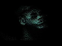 Саунд-дизайн видеоролика