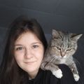 nikoln