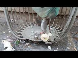 Видео с моей видеотеки