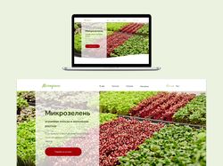 Концепция сайта по продаже микрозелени (dekstop)