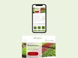 Концепция сайта по продаже микрозелени (mobile)