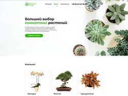 Дизайн главной страницы сайта