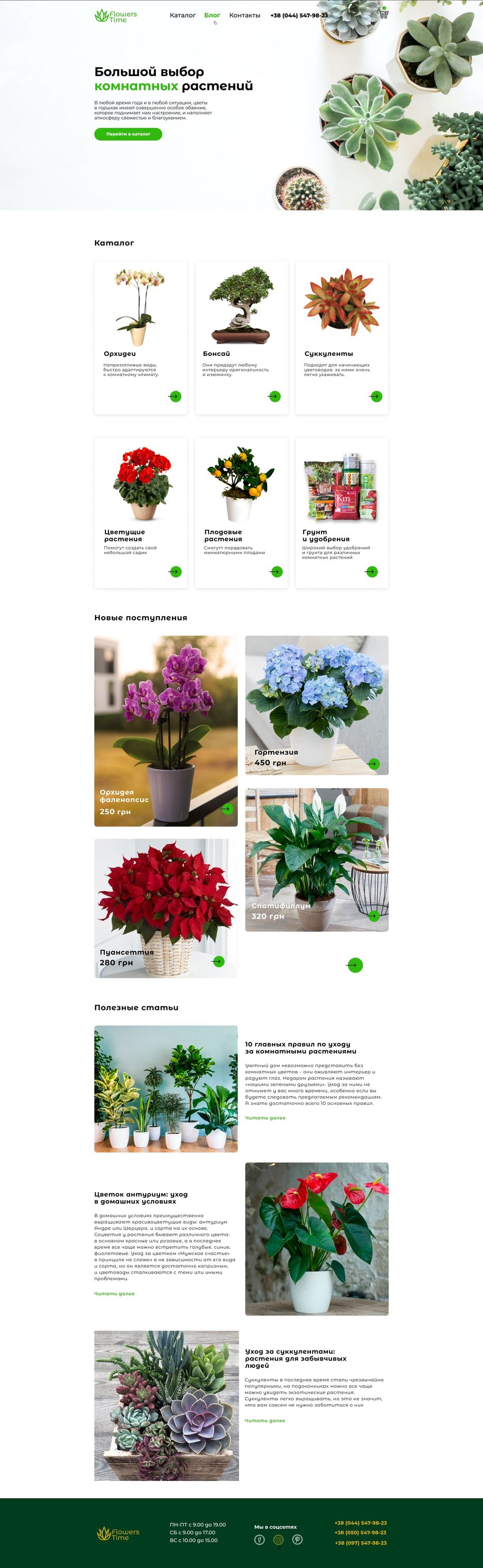 Flowers Time.jpg