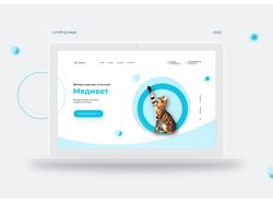 Landing page для ветклиники (макет продаётся)