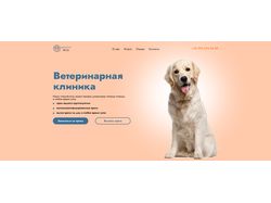Дизайн главной страницы сайта