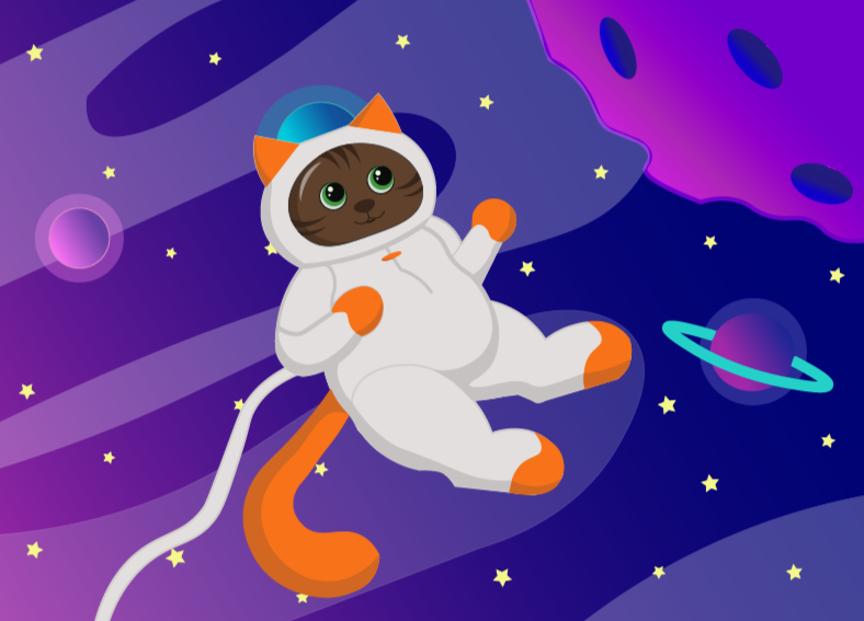 SPACECAT.png