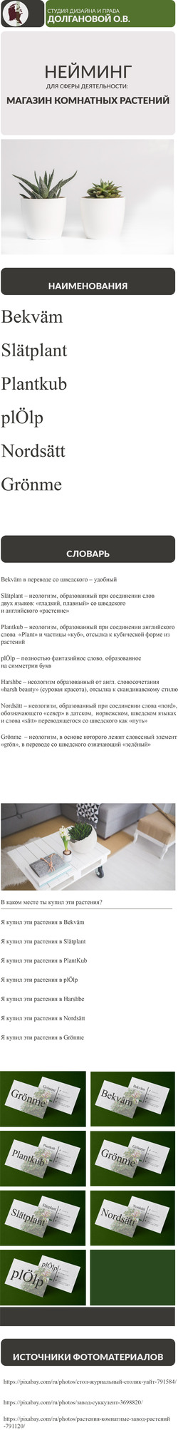 Презентация_Нейминг_цветочный магазин_Долганова О.В. (1).jpg