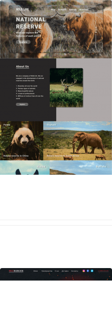 freelancehunt.com_freelancer_nagual123.html (1).png