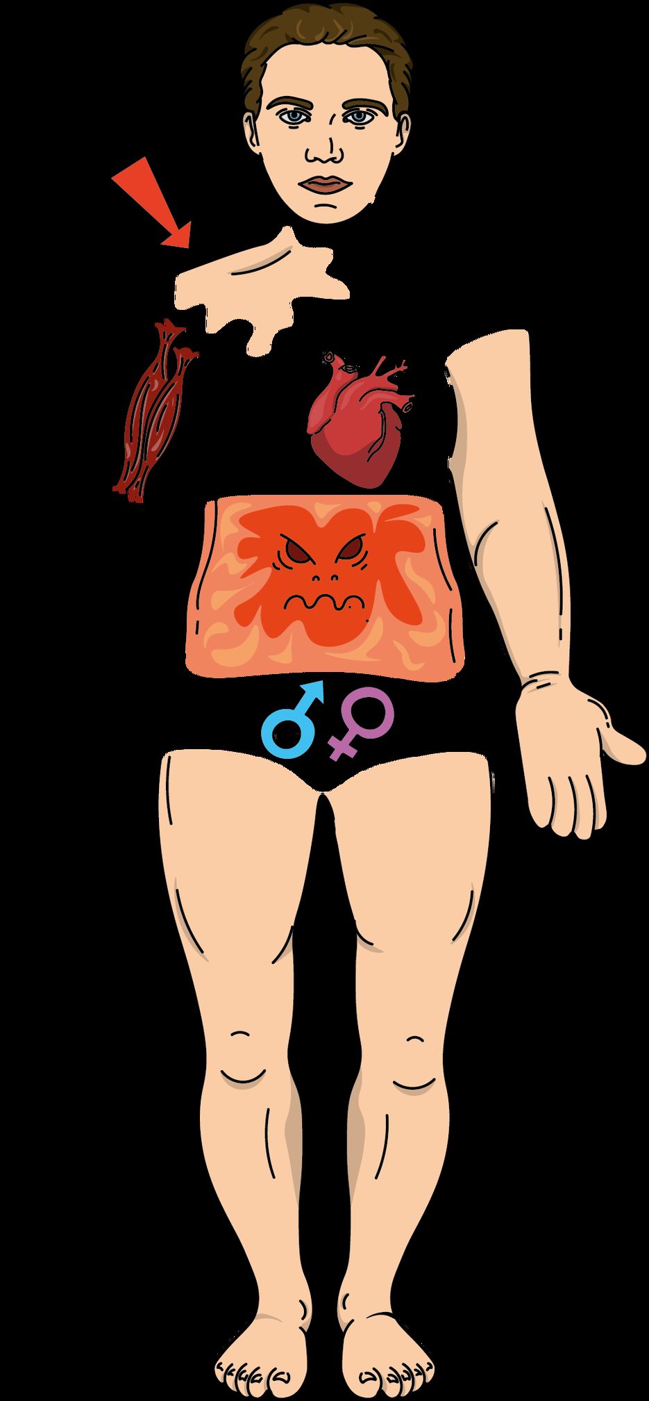 full.png