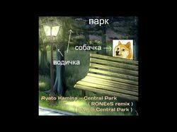 Пример шуточной истории о музыке