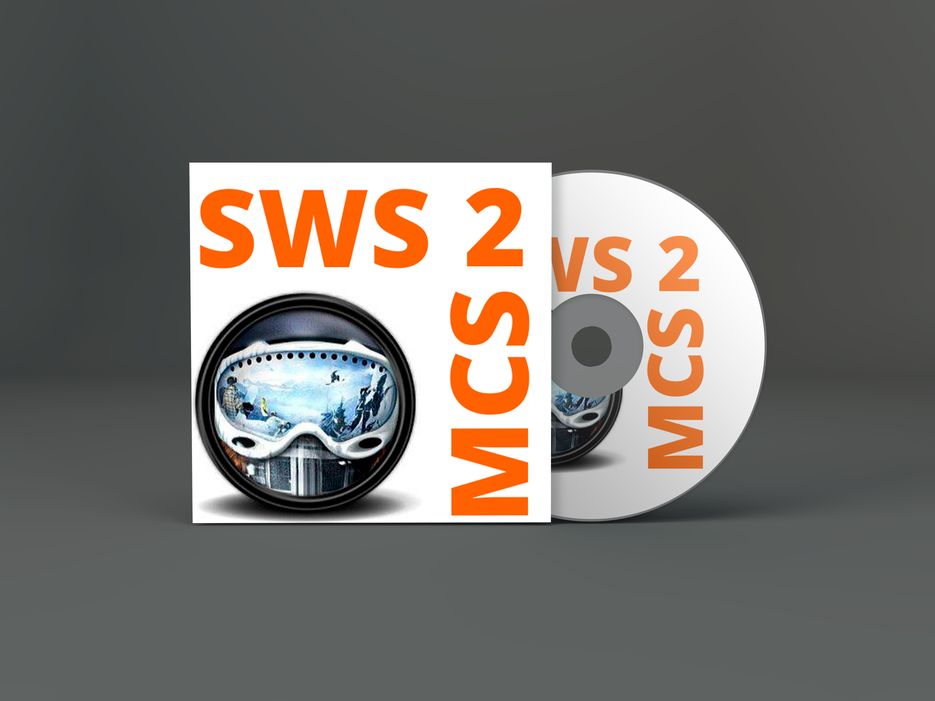 Владик игра.png