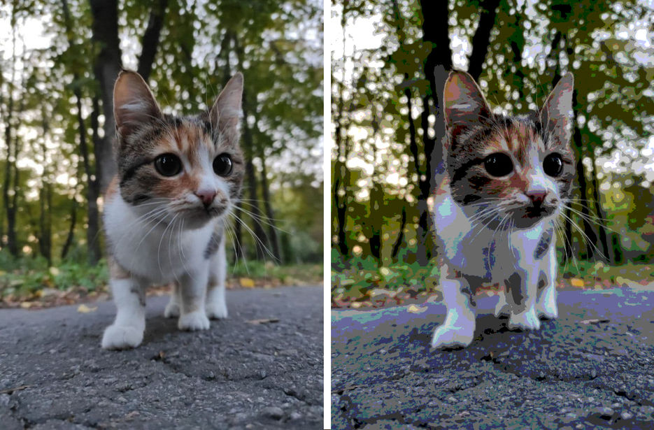 кот(до и после на портф).jpg