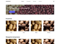 Сайт по продаже картофеля оптом