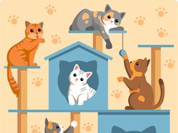 Котики