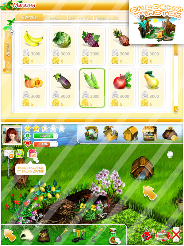Игра для Вконтакте "Садовый участок".jpg