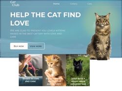 Cat Club