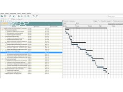 Разработаю графики ваших проектов в Gant
