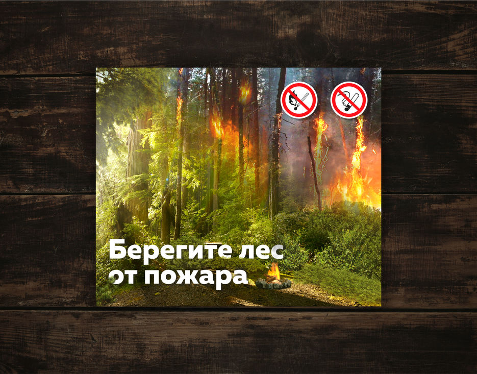 ЛЕС.jpg