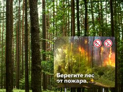 Берегите лес