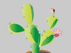 A  flowering cactus