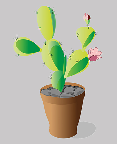 cactus2.jpg