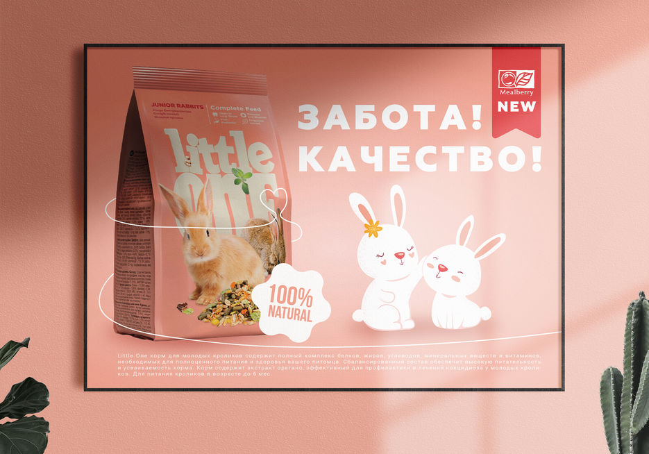 ва.jpg