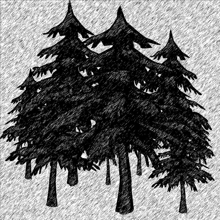 forest.jpg