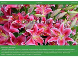 Интернет магазин http://mir-tsvetov.pp.ua/