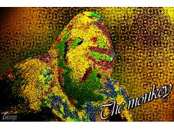 Открытка "The monkey"