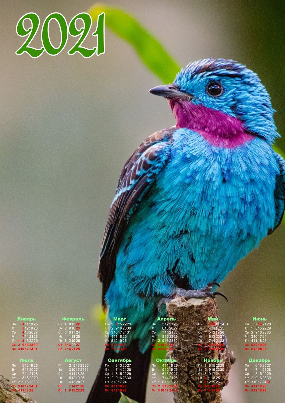 Новый проект2.jpg