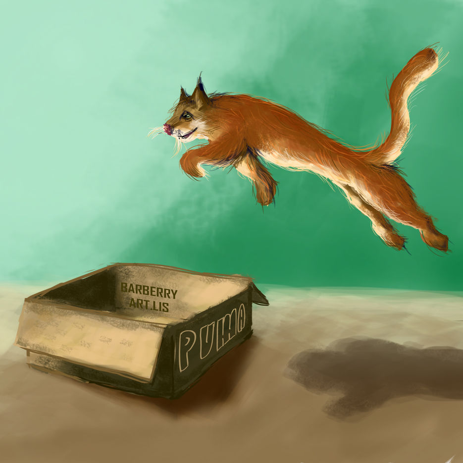 puma.jpg
