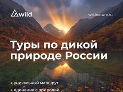 Дизайн баннера для Wild tur