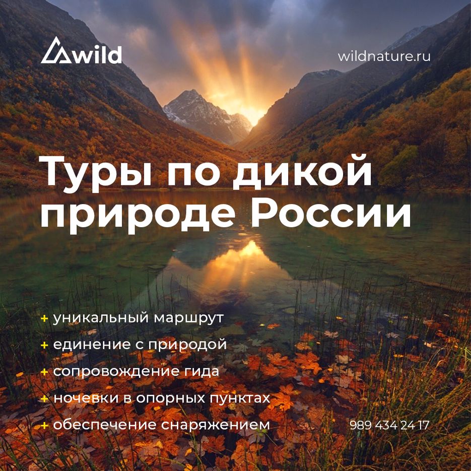 Туры по дикой природе.png
