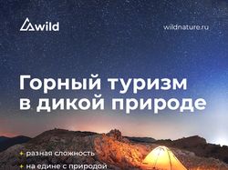 Дизайн баннера для Wild tur