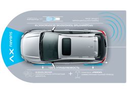 Subaru — Напольная инфографика для автосалона