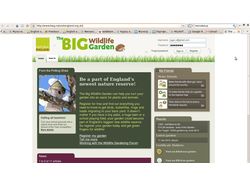 The Big Wildlife Garden - социальная сеть