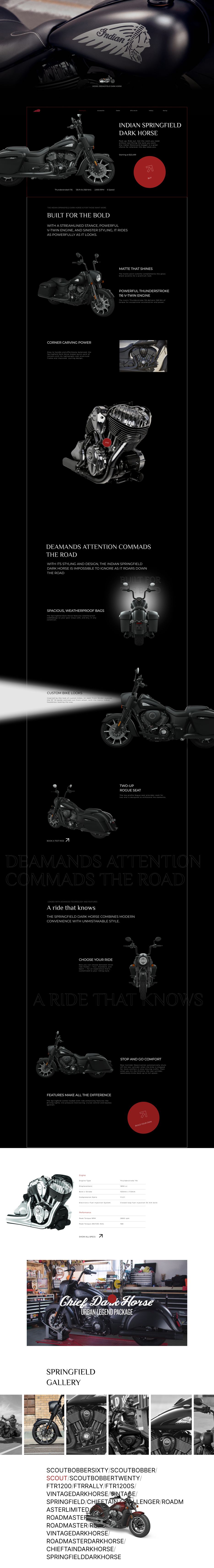 Model Springfield dark horse.png