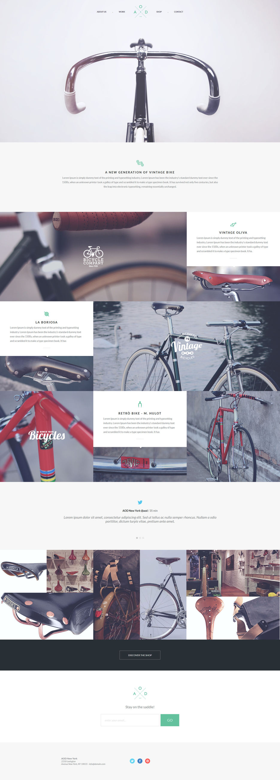 Screenshot_2021-01-12 Bicycle.jpg