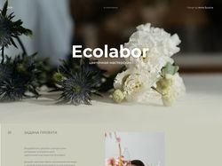 Дизайн интернет-магазина "Ecolabor"